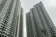 Chung cư dẫn đầu thanh khoản thị trường dù hạ nhiệt