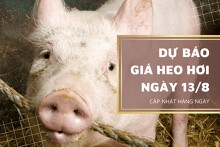 Dự báo giá heo hơi ngày 13/7, thị trường đồng loạt chững giá?
