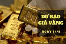 Dự báo giá vàng 14/8: Có thể điều chỉnh giảm trở lại?