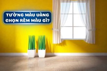 Tường màu vàng chọn rèm màu gì đẹp, ấn tượng nhất?