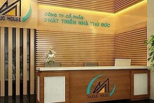 TP HCM cưỡng chế thuế hơn 91 tỷ với Thuduc House