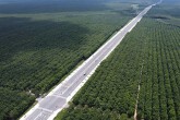 Bình Dương khánh thành đường Bắc Tân Uyên - Phú Giáo - Bàu Bàng và cầu Bạch Đằng 2