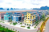 CEO Group sắp phát hành 25,7 triệu cổ phiếu trả cổ tức