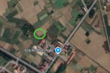 Đất có quy hoạch ở xã Thanh Lâm, huyện Lục Nam, Bắc Giang