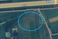 Đất có quy hoạch ở xã Cổ Bì, huyện Bình Giang, tỉnh Hải Dương
