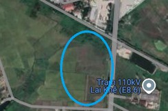 Đất có quy hoạch ở xã Lai Khê, huyện Kim Thành, tỉnh Hải Dương