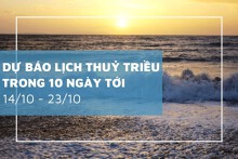 Lịch thủy triều 10 ngày tới từ 14/10 đến 23/10 Triều cường duy trì tại Hòn Dấu và Sầm Sơn, Phú Quốc ổn định mực nước