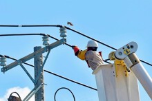 Lịch cúp điện Tây Ninh tuần này (20/10 đến 26/10) Long An, Đức Huệ, Bến Lức, Đức Hoà, Tân Châu, Cần Giuộc mất điện nhiều ngày