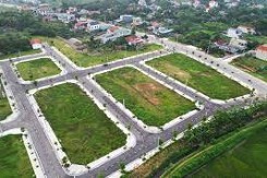 Phú Thọ đấu giá 29 ô đất ở tại xã Tam Hồng, khởi điểm từ 34 triệu đồng/m2