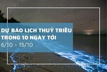 Lịch thủy triều 10 ngày tới từ 6/10 đến 15/10 hòn Dấu và Vũng Tàu đạt đỉnh triều cao nhất, nhiều khu vực đạt đỉnh triều trên 300 cm