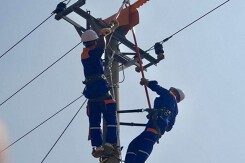 Lịch cúp điện Đồng Tháp mới nhất (24/11 đến 26/11) Cao Lãnh, Tháp Mười, Tân Hồng, Lai Vung, Tân Phú Đông, Châu Thành mất điện nhiều khu dân cư
