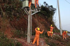Lịch cúp điện Tây Ninh mới nhất (24/11 đến 26/11) Cần Giuộc, Bến Cầu, Gò Dầu, Tân Biên, Tân Châu, Hoà Thành mất điện nhiều trạm bơm nông nghiệp