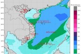 Cảnh báo thời tiết nguy hiểm ngày 12/12 Khánh Hòa đối mặt gió giật cấp 9, Hà Tĩnh mưa lớn kéo dài, gió lạnh tràn xuống Đà Nẵng