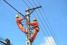 Lịch cúp điện Cà Mau tuần này (từ 15/12 đến 17/12) nhiều khu vực thuộc phường Tân Thành, xã Phan Ngọc Hiền, Thới Bình, Đầm Dơi và Đông Hải cúp điện cả ngày