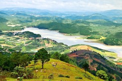 Lâm Đồng gỡ vướng hai dự án hàng nghìn héc ta liên quan đến Tập đoàn TH và Hưng Thịnh