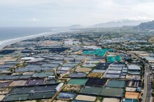 Gần 6.700 tỷ di dời, tái định cư cho Nhà máy Điện hạt nhân Ninh Thuận 1