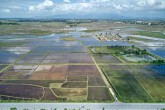 GS Đặng Hùng Võ: Mức tiền chuyển đổi đất nông nghiệp sang thổ cư vẫn lớn dù được giảm 50 - 70%