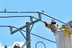 Lịch cúp điện Cà Mau tuần này (từ 25/12 đến 28/12) mất điện diện rộng ở phường Bạc Liêu, xã Vĩnh Lợi, Đầm Dơi, Hưng Mỹ và Năm Căn