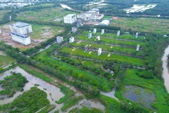 Vạn Phát Hưng thay Tổng Giám đốc