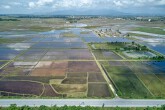 'Không lo đầu cơ khi giá đất nông nghiệp tăng, chỉ lo đất bị bỏ hoang'