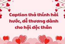 Những caption thả thính hài hước, dễ thương dành cho hội độc thân dịp valentine