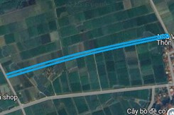Đường sẽ mở ở xã Nhật Quang, huyện Gia Lộc, tỉnh Hải Dương