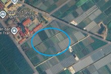 Đất có quy hoạch ở xã Phạm Trấn, huyện Gia Lộc, tỉnh Hải Dương