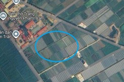 Đất có quy hoạch ở xã Phạm Trấn, huyện Gia Lộc, tỉnh Hải Dương