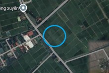 Đất có quy hoạch ở xã Bình Xuyên, huyện Ninh Giang, tỉnh Hải Dương