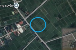 Đất có quy hoạch ở xã Bình Xuyên, huyện Ninh Giang, tỉnh Hải Dương