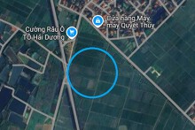 Đất có quy hoạch ở xã Đức Phúc, huyện Ninh Giang, tỉnh Hải Dương