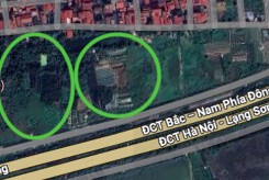 Đất có quy hoạch ở phường Đại Phúc, TP Bắc Ninh, tỉnh Bắc Ninh