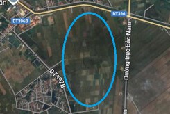 Đất có quy hoạch ở xã Hưng Long, huyện Ninh Giang, tỉnh Hải Dương