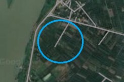 Đất có quy hoạch ở xã An Phượng, huyện Thanh Hà, tỉnh Hải Dương