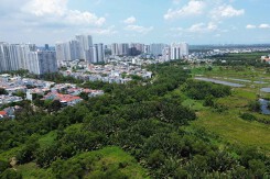 Quốc Cường Gia Lai lãi gấp hàng chục lần trong năm 2024 nhờ bán căn hộ