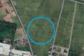 Đất có quy hoạch ở xã Vũ Dũng, huyện Kim Thành, tỉnh Hải Dương