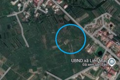 Đất có quy hoạch ở xã Liên Mạc, huyện Thanh Hà, tỉnh Hải Dương