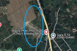 Đất có quy hoạch ở xã Tân An, huyện Thanh Hà, tỉnh Hải Dương
