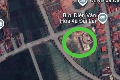 Đất có quy hoạch ở xã Đại Lai, huyện Gia Bình, tỉnh Bắc Ninh