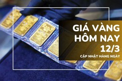 Giá vàng hôm nay 12/3: Vàng nhẫn tăng vọt, áp sát kỷ lục 94 triệu đồng/lượng