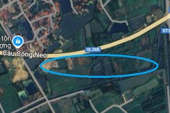 Đất có quy hoạch ở xã Tứ Cường, huyện Thanh Miện, tỉnh Hải Dương