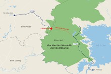 Hình dáng đường xuyên rừng tính mở rộng kết nối Đồng Nai - Bình Phước