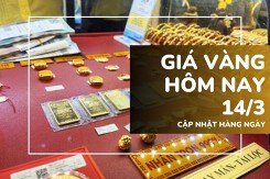 Giá vàng hôm nay 14/3: Vàng nhẫn lập kỷ lục mới, vượt mốc 96 triệu đồng/lượng