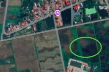 Đất có quy hoạch ở phường Yên Bắc, thị xã Duy Tiên, tỉnh Hà Nam