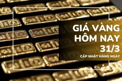 Giá vàng hôm nay 31/3: Vàng miếng SJC tăng sốc, lập đỉnh 101,5 triệu đồng/lượng