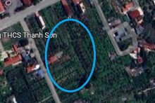 Đất có quy hoạch ở xã Thanh Sơn, huyện Thanh Hà, tỉnh Hải Dương