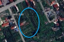 Đất có quy hoạch ở xã Thanh Sơn, huyện Thanh Hà, tỉnh Hải Dương