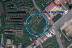 Đất có quy hoạch ở xã Thanh Tân, huyện Thanh Hà, tỉnh Hải Dương