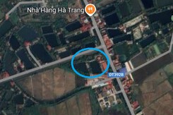 Đất có quy hoạch ở xã Hồng Phong, huyện Thanh Miện, tỉnh Hải Dương