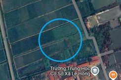 Đất có quy hoạch ở xã Lê Hồng, huyện Thanh Miện, tỉnh Hải Dương